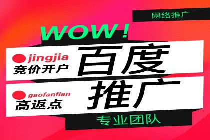 某行业sem优化托管的成功经验分享